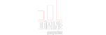 partners_domine